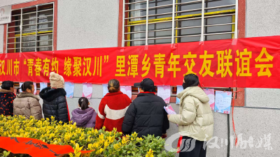 里潭乡举办“青春有约 缘聚汉川”青年联谊活动