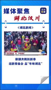 视频 | 骐骥奔腾跃新春：逛新春庙会 品“年味湖北”