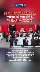 视频 | 汉川“春风行动”招聘会持续火热：产销两旺催生用工热 返乡就业成新风尚
