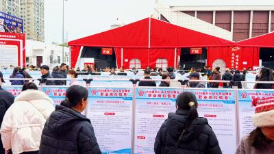 【视频】220家企业提供超10000个岗位  求职交友购房一条龙