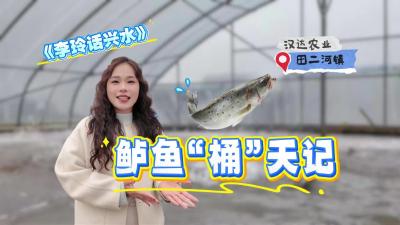 视频 | 【李玲话兴水】鲈鱼“桶”天记  #强产美城兴水