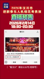 视频 | 汉川的小伙伴看过来! 2026年汉川市迎新春无人机烟花秀表演 公交出行攻略来啦～