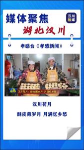 视频 | 【媒体聚焦】汉川荷月：酥皮藏岁月 月满忆乡愁