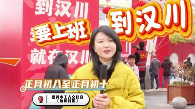 视频 | 要上班 到汉川！有工作  有温暖  汉川市2026年春风招聘会现场火爆