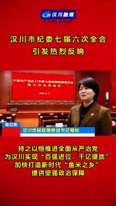 视频 | 汉川市纪委七届六次全会 引发热烈反响