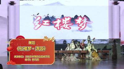 视频 | 舞蹈《红楼梦・游园》