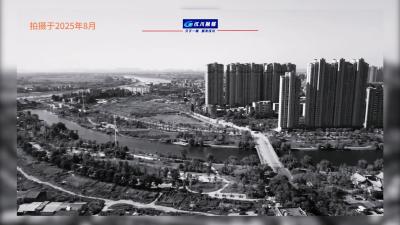 视频 | 同一地点  同款机位  老街新生记  2025年5月-2026年2月