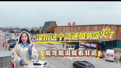 视频 | 【奋进中的汉川】汉川高速服务区火了！能吃能逛能看非遗，网友：不像赶路像度假！