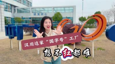 视频 | 【罗曼看强产】汉川这家“国字号”工厂 想不红都难