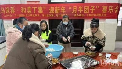 马口镇：文旅融合添活力，民生服务润民心