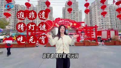 视频 | 逛非遗 猜灯谜 吃元宵