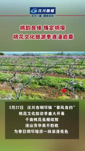 视频 | 桃韵良缘 情定垌塚 桃花文化旅游季浪漫启幕