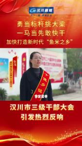 视频 | 【勇当标杆挑大梁】汉川市三级干部大会引发热烈反响——脉旺镇经济发展办公室主任 张浅