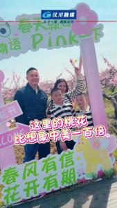 视频 | “这里的桃花比想象中美一百倍”
