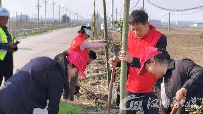 汉川市西江乡妇联开展植树活动