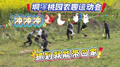 视频 | 垌塚桃园农趣运动会 鸡鸭鹅兔随便抓 解锁最“野”欢乐
