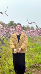 视频 | 3月27日 垌塚桃花文化旅游季 等你来打卡