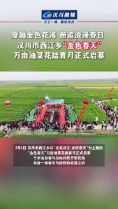 视频 | 【点亮汉江·点燃春天】穿越金色花海 邂逅浪漫春日 ，汉川市西江乡“金色春天”万亩油菜花踏青月正式启幕
