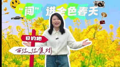 视频 | 【张彤探美城】拂汉江 花海染西江 张彤带你“闯”进金色春天