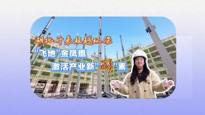 视频 | 【罗曼看强产】湖北开来超越环保项目：“飞地”金凤凰 激活产业新“酵”素