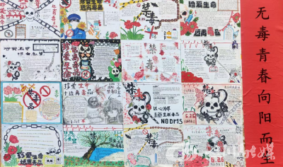 分水中学开展禁毒教育系列活动