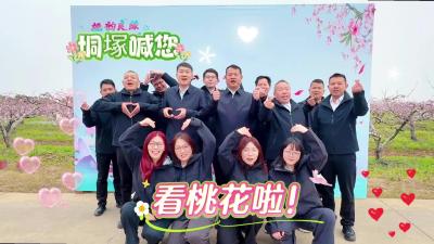 视频 | 垌塚喊您看桃花啦！