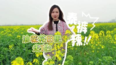 视频 | 【点亮汉江·点燃春天】谁懂啊！油菜花田里走 T 台也太绝了！
