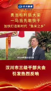 视频 | 【勇当标杆挑大梁】汉川市三级干部大会引发热烈反响——湖北天屿湖生态文旅有限公司财务部副经理曾明江