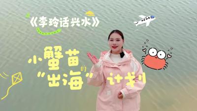 视频 | 【李玲话兴水】小蟹苗的“出海”计划