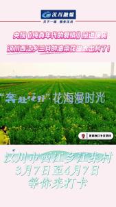 视频 | 【点亮汉江·点燃春天】 央视《纯真年代的爱情》同款打卡地 汉川市西江乡江集村等你来打卡