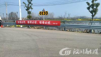 韩集乡开展禁种铲毒专项行动 筑牢乡村禁毒防线