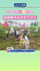 视频 | 鸡飞鸭舞闹田园 垌塚趣味运动会太欢乐