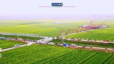 视频 | 【点亮汉江·点燃春天】汉川西江花海刷爆  汉川人的朋友圈  最佳观赏期三月中旬