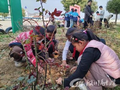 汉川市麻河小学开展学雷锋种植月季活动