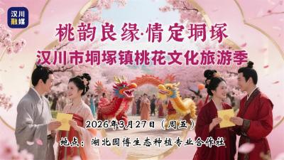 视频 | 汉川市垌塚镇桃花文化旅游季  桃韵良缘，情定垌塚！3月27日，湖北园博生态种植专业合作社赴一场桃花之约，遇一世心动相逢