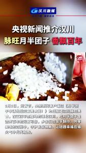 视频 | 元宵佳节 央视新闻推介汉川脉旺美食月半团子 香飘百年