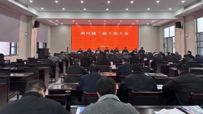 麻河镇召开二级干部大会 新春党课谋发展聚合力