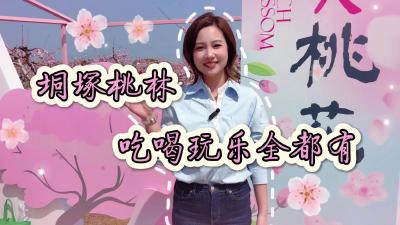 视频 | 【百姓来唠嗑】垌塚桃林 吃喝玩乐全都有