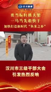 视频 | 【勇当标杆挑大梁】汉川市三级干部大会引发热烈反响——杨林沟镇党委书记 张尚谦