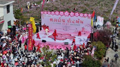 汉川：千亩桃花铺就振兴路 贫困村蝶变致富样板村