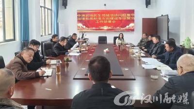 中洲农场召开民生领域信访问题集中治理和高标准农田建设专项整治工作部署会