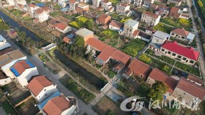 湾潭乡扎实开展禁种铲毒工作 坚守“零种植”底线