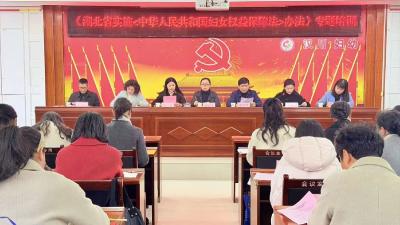 汉川市妇联举办《湖北省实施<中华人民共和国妇女权益保障法>办法》专题培训会