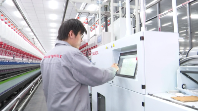 【视频】爱伊美线业：数字化赋能 跑出开局“加速度”