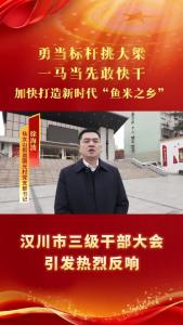 视频 | 【勇当标杆挑大梁】汉川市三级干部大会引发热烈反响--仙女山街道国光村党支部书记 徐海波