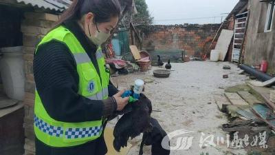 筑牢春防屏障 守护畜牧安全