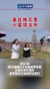 视频 | 春在桃花里，人居镜头中