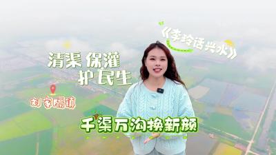视频 | 【李玲话兴水】刘家隔镇：清渠保灌护民生 千渠万沟换新颜