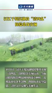 视频 | 汉江干堤沉湖段“清四乱” 除隐患 保安澜
