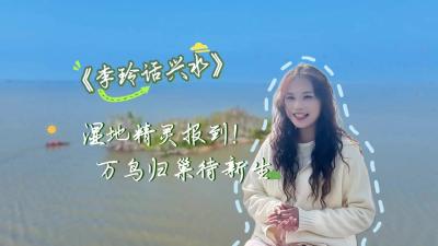 视频 | 【李玲话兴水】湿地精灵报到！万鸟归巢待新生